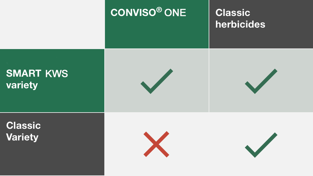 Прикол с переводчиком threesome. Smart английский язык. Smart перевести на русский язык. Перевести слово с английского на русский. Clever перевод на русский язык.